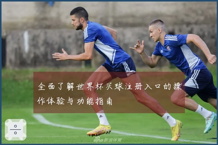 全面了解世界杯买球注册入口的操作体验与功能指南