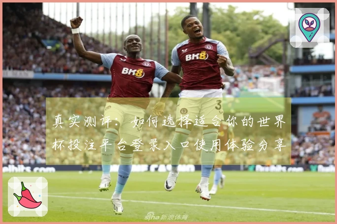 真实测评：如何选择适合你的世界杯投注平台登录入口使用体验分享