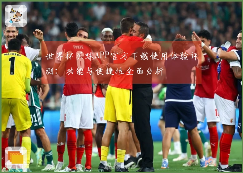 世界杯买球APP官方下载使用体验评测：功能与便捷性全面分析