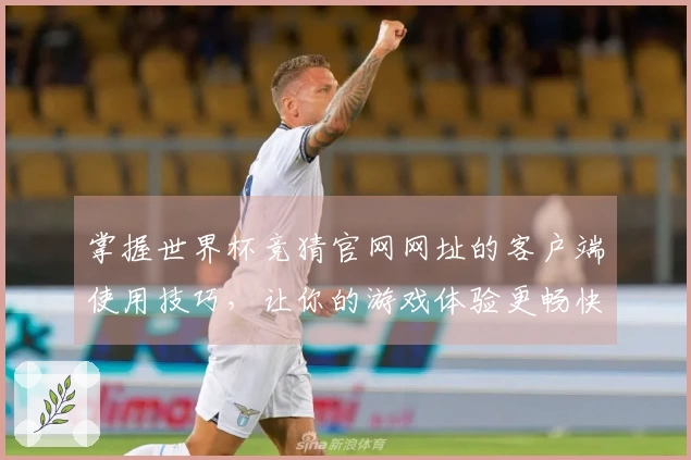 掌握世界杯竞猜官网网址的客户端使用技巧，让你的游戏体验更畅快
