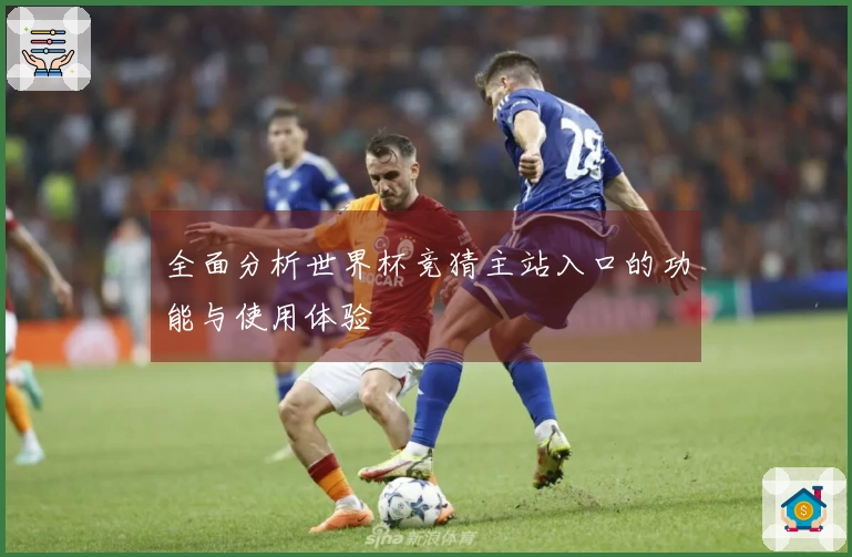 全面分析世界杯竞猜主站入口的功能与使用体验