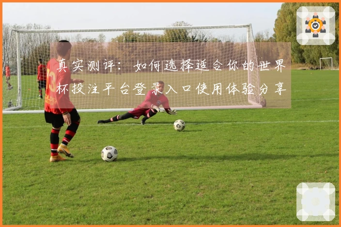 真实测评：如何选择适合你的世界杯投注平台登录入口使用体验分享
