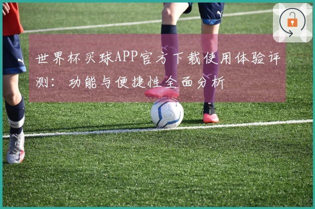 世界杯买球APP官方下载使用体验评测：功能与便捷性全面分析